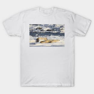 Polar Bear Mother & Cub Grooming Enthusiastically T-Shirt